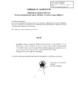 DECISION_MAIRE-2023_013-Acceptation-mobilier-SUM – Mise en ligne le 16 juin 2023